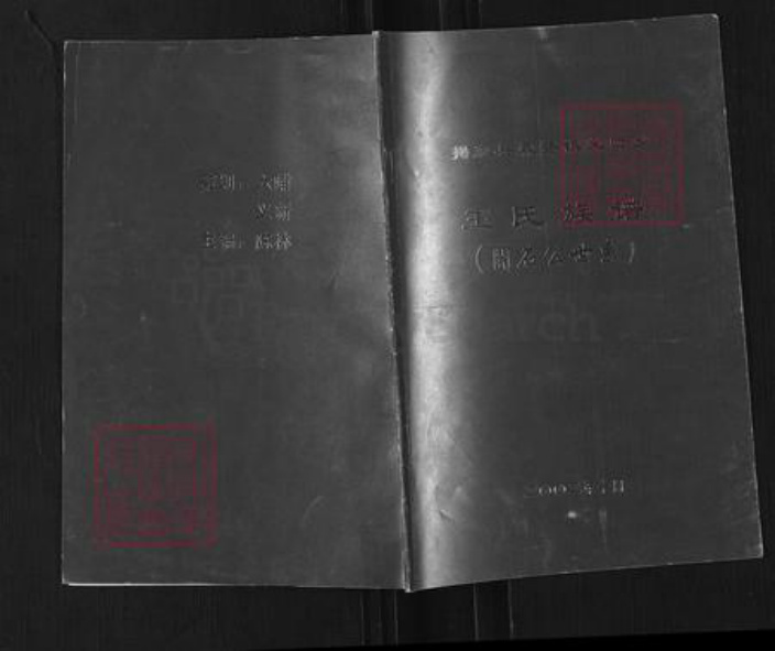 广东省揭阳市揭东区霖磐镇王氏族谱-王氏族谱.开石公世系.pdf电子版插图 广东省揭阳市揭东区霖磐镇王氏族谱-王氏族谱.开石公世系.pdf电子版插图