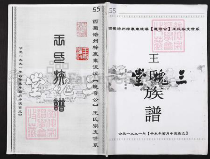 重庆市涪陵区王氏三槐堂族谱-王氏族谱.西蜀涪州榟里东流溪(应奇公)王氏宗支世系.pdf电子版