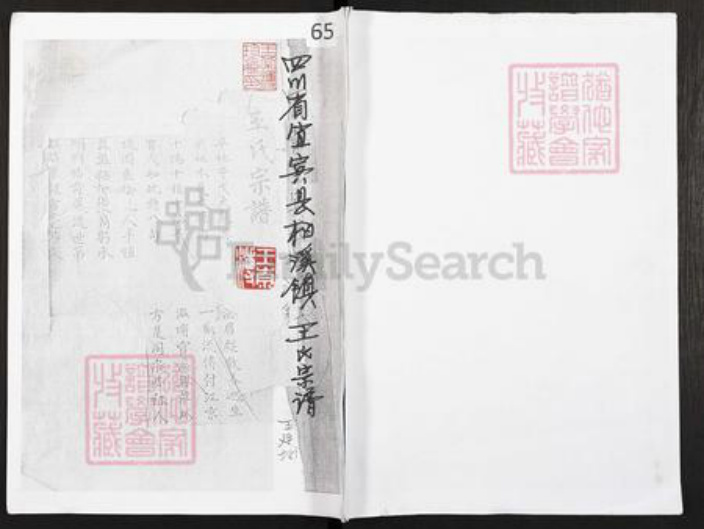 四川省宜宾市叙州区王氏族谱-四川省宜宾县柏溪镇王氏宗谱.pdf电子版