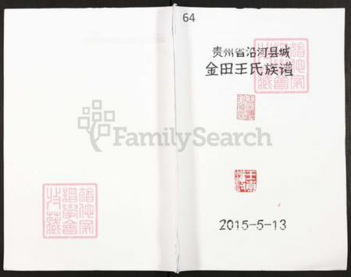 贵州省铜仁市铜仁市王氏族谱-贵州省沿河县城金田王氏族谱.pdf电子版