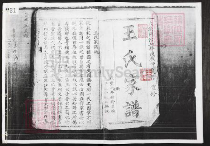 四川省泸州市江阳区王氏族谱-王氏家谱.pdf电子版