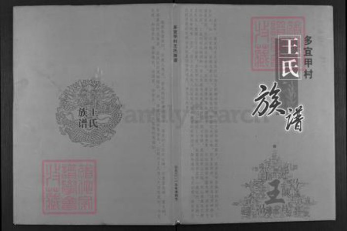 云南省昆明市富民县王氏族谱-王氏族谱.pdf电子版