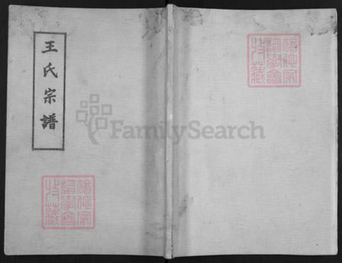 河北省沧州泊头市齐桥镇王氏族谱-王氏宗谱.pdf电子版