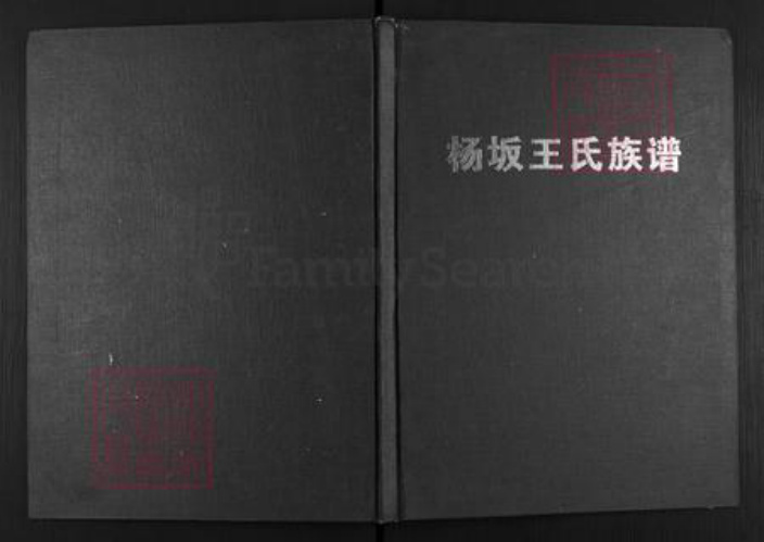 福建省福州市闽清县坂东镇王氏族谱-杨坂王氏族谱.pdf电子版