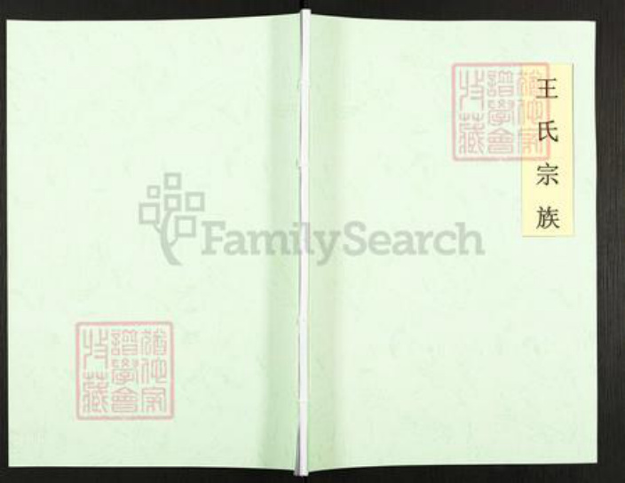 安徽省淮南市潘集区平圩镇王氏三槐堂族谱-王氏宗谱.pdf电子版