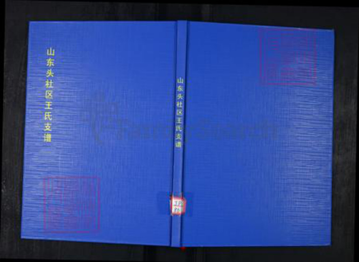 山东省青岛市崂山区王氏族谱-山东头社区王氏支谱.pdf电子版插图 山东省青岛市崂山区王氏族谱-山东头社区王氏支谱.pdf电子版插图