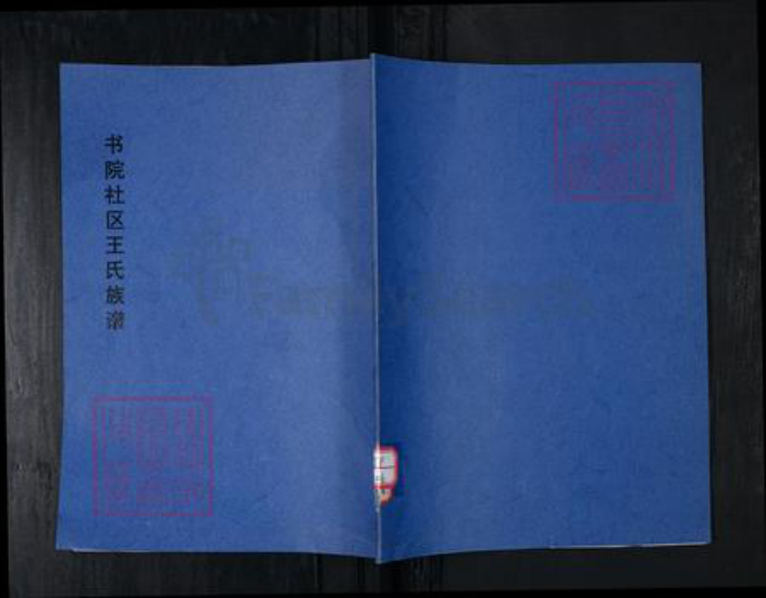 山东省青岛市崂山区王氏族谱-书院社区王氏族谱.pdf电子版