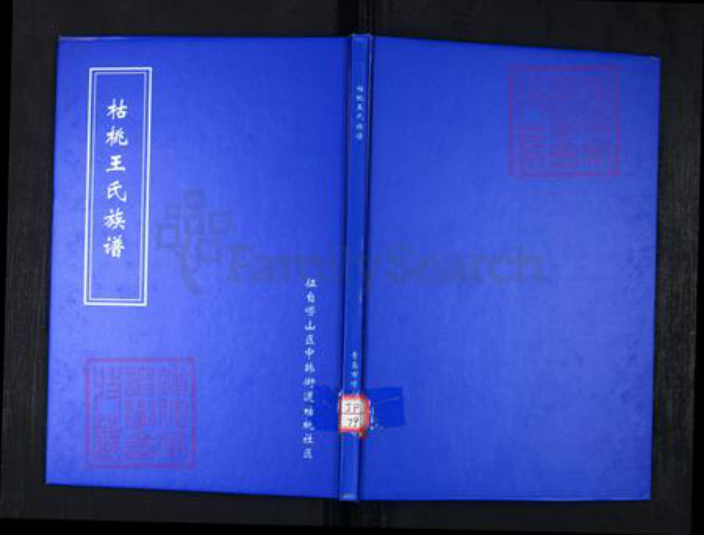 山东省青岛市崂山区王氏族谱-枯桃王氏族谱.pdf电子版
