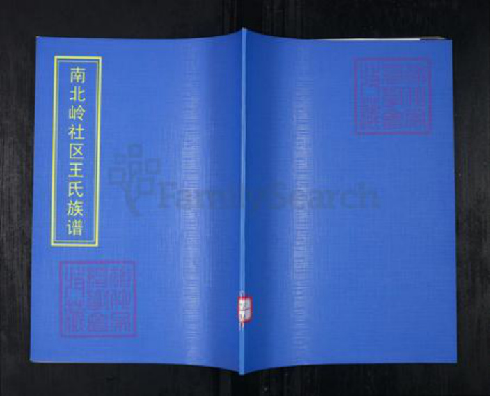 山东省青岛市崂山区王氏族谱-南北岭社区王氏族谱.pdf电子版