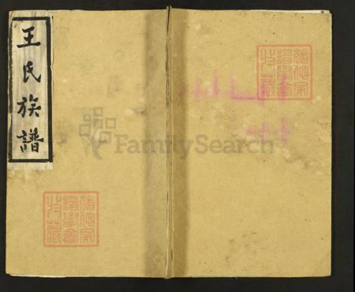 江苏省扬州市仪征市大仪镇王氏槐兆堂族谱-王氏族谱.pdf电子版