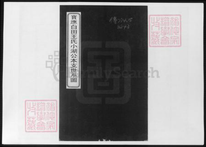江苏省扬州市王氏族谱-宝应白田王氏小湖公本支世系图.pdf电子版插图 江苏省扬州市王氏族谱-宝应白田王氏小湖公本支世系图.pdf电子版插图