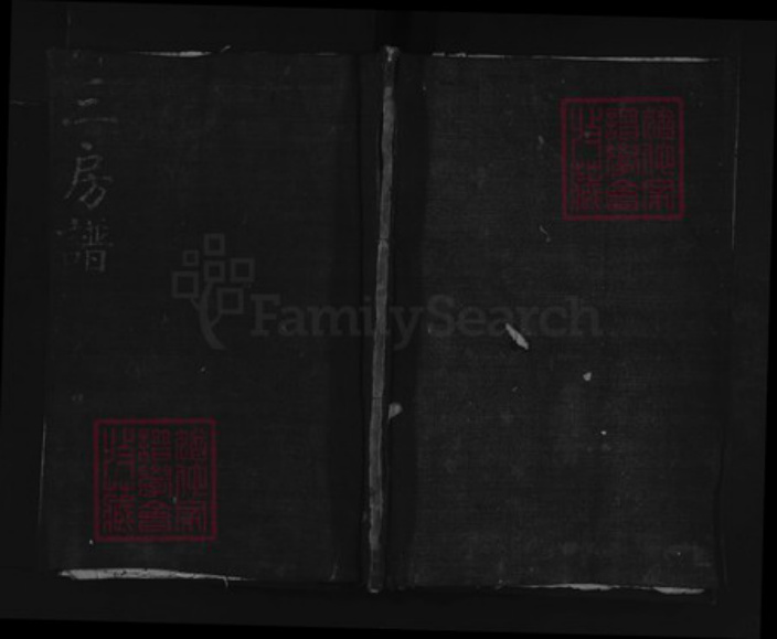 浙江省宁波市奉化区印氏族谱-甘里印氏宗谱.pdf电子版