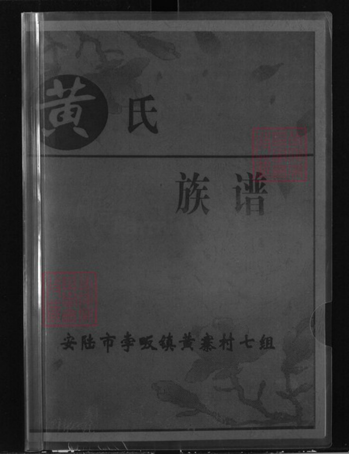 湖北省孝感市安陆市孛畈镇黄氏族谱-黄氏族谱.pdf电子版插图 湖北省孝感市安陆市孛畈镇黄氏族谱-黄氏族谱.pdf电子版插图