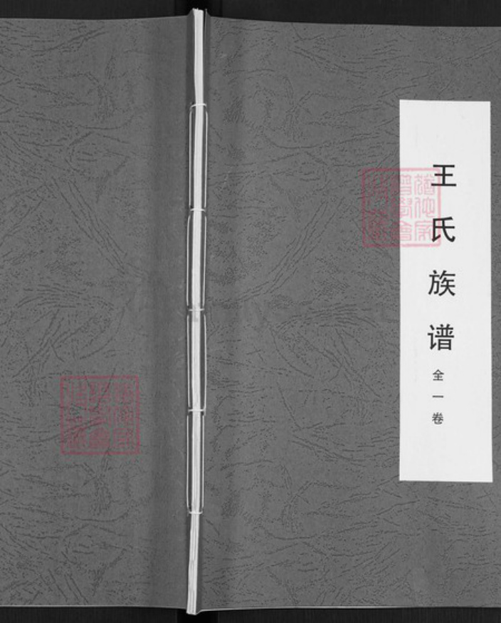 山东省泰安市东平县州城街道王氏族谱-王氏族谱.pdf电子版