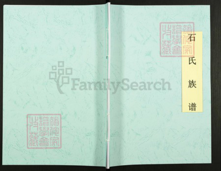 山东省枣庄市滕州市石氏族谱-鲁南滕州市大石楼村石氏.pdf电子版