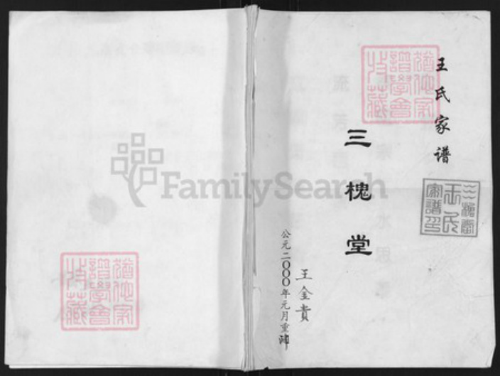 江苏省扬州市高邮市三垛镇王氏三槐堂族谱-王氏家谱.pdf电子版