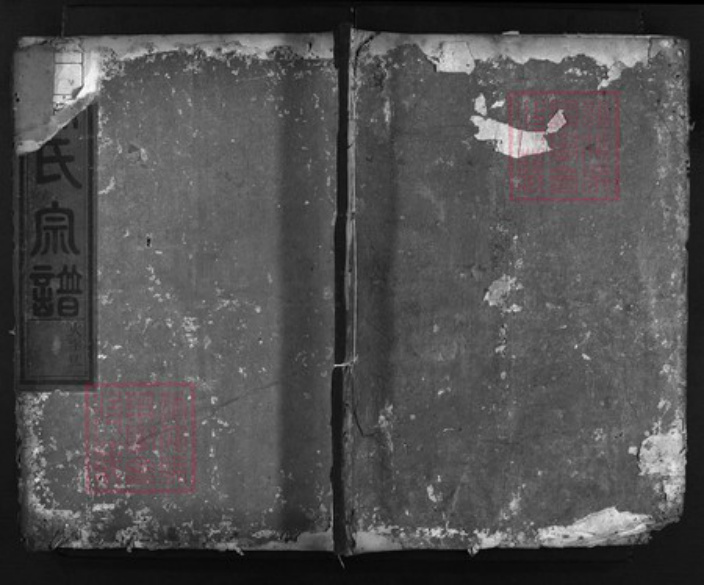 浙江省徐氏族谱-絣塘山背徐氏宗谱 [残卷不分卷].pdf电子版