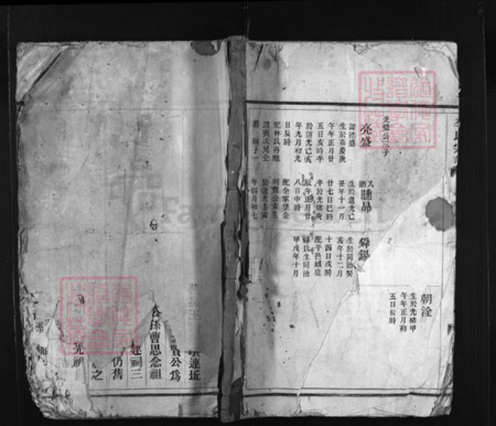 江西省赣州市瑞金市李氏族谱-陇西郡李氏宗谱 [总卷数不详].pdf电子版