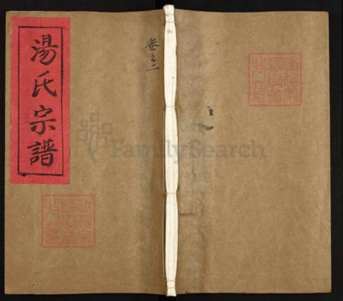 浙江省丽水市青田县汤氏族谱-汤氏宗谱.pdf电子版