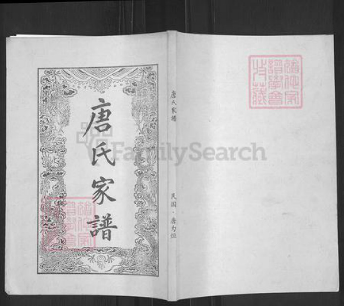 湖南省永州市零陵区唐氏族谱-唐氏家谱.pdf电子版