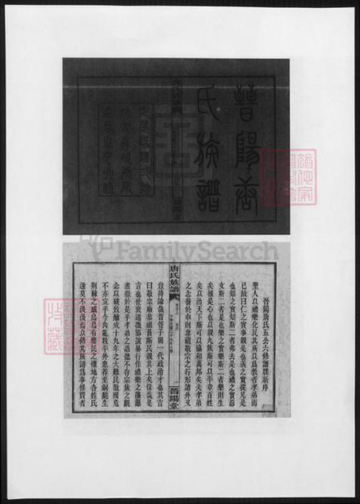 湖南省长沙市浏阳市浏阳唐氏族谱-晋阳唐氏族谱.pdf电子版