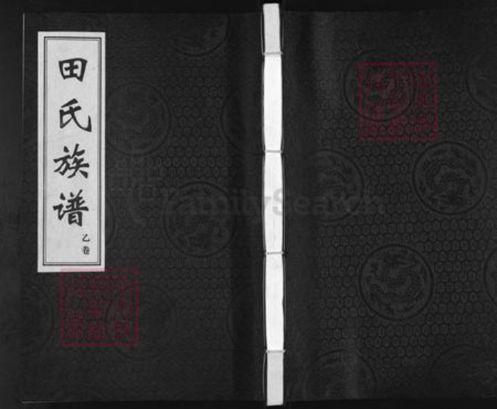 河北省沧州孟村回族自治县牛进庄乡田氏族谱-田氏族谱.pdf电子版插图 河北省沧州孟村回族自治县牛进庄乡田氏族谱-田氏族谱.pdf电子版插图