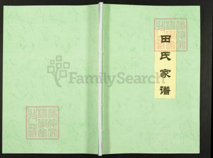 重庆市忠县田氏贫骄堂族谱-田氏家谱.pdf电子版