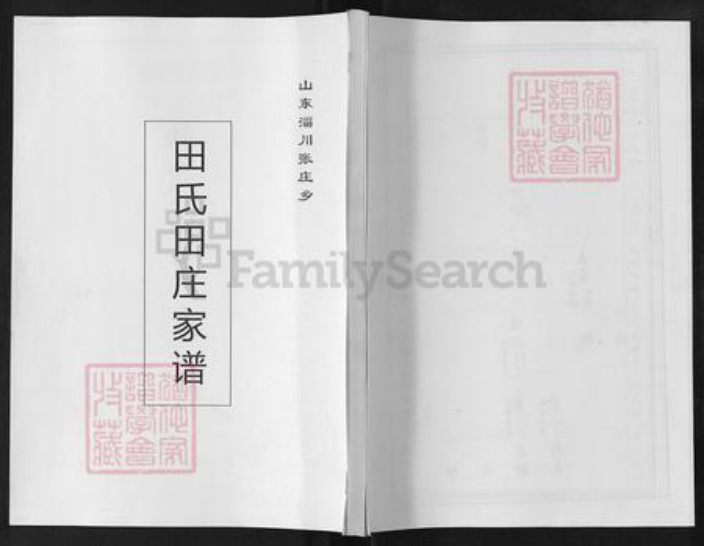 山东省淄博市淄川区田氏族谱-田氏田庄家谱.pdf电子版