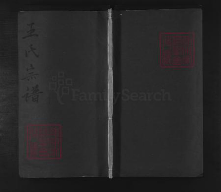 浙江省衢州常山县王氏族谱-王氏宗谱 [卷4].pdf电子版