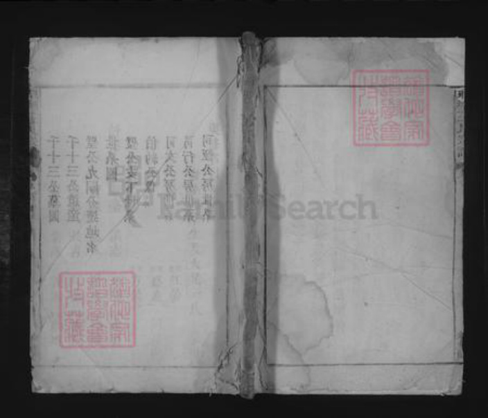 江西省九江市湖口县王氏族谱-琅琊王氏宗谱 [不分卷].pdf电子版