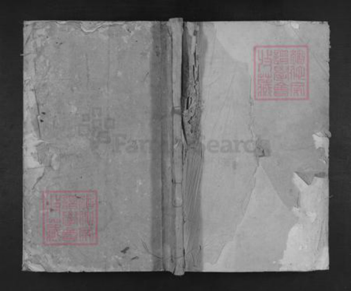 山东省临沂市临沂市王氏族谱-琅琊王氏宗谱.pdf电子版