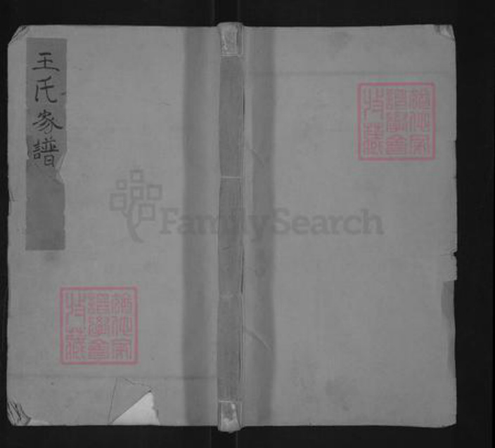 河北省沧州东光县王氏族谱-王氏家谱.pdf电子版