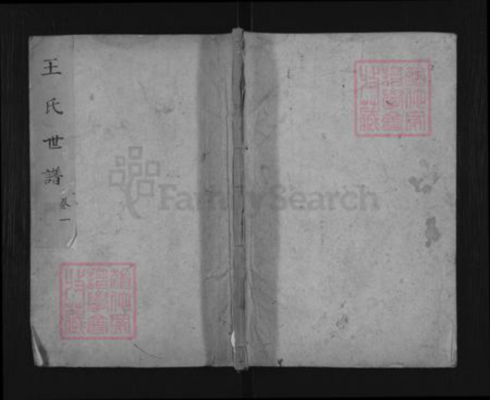 山东省滨州市惠民县李庄镇王氏族谱-王氏世谱.pdf电子版