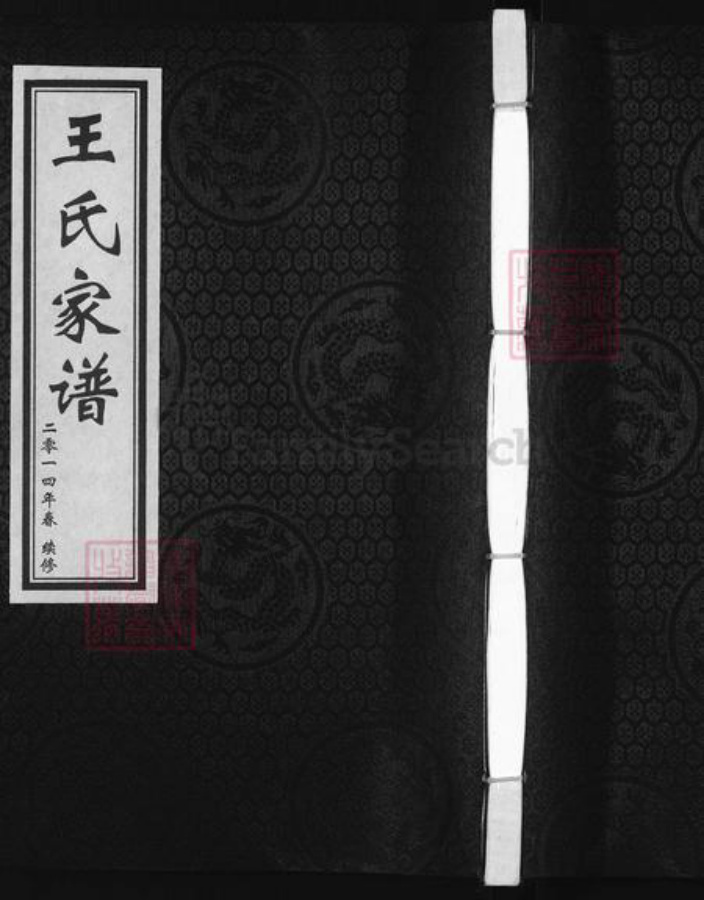 河北省沧州黄骅市旧城镇王氏族谱-王氏家谱.pdf电子版插图 河北省沧州黄骅市旧城镇王氏族谱-王氏家谱.pdf电子版插图