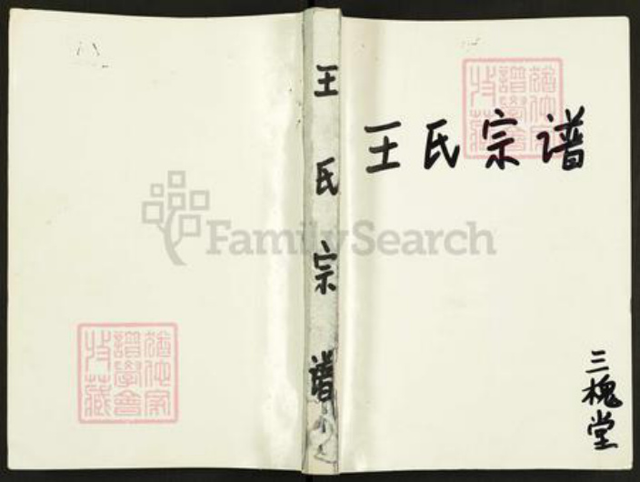 江苏省盐城市亭湖区王氏三槐堂族谱-王氏宗谱.pdf电子版插图 江苏省盐城市亭湖区王氏三槐堂族谱-王氏宗谱.pdf电子版插图