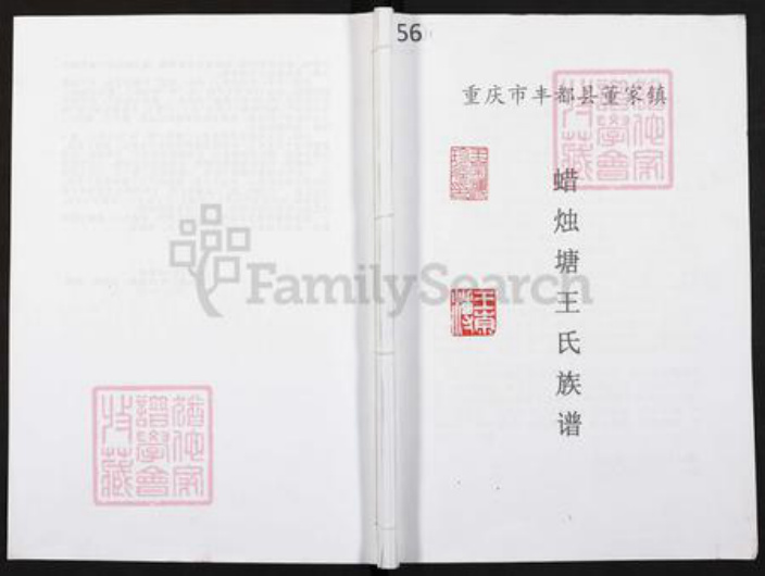 重庆市酆都县王氏三槐堂族谱-重庆市丰都县董家镇蜡烛塘王氏族谱.pdf电子版