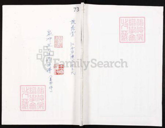 江西省吉安市吉安市王氏槐荫堂族谱-江西庐陵太原王氏.泉冲王氏五修族谱.pdf电子版