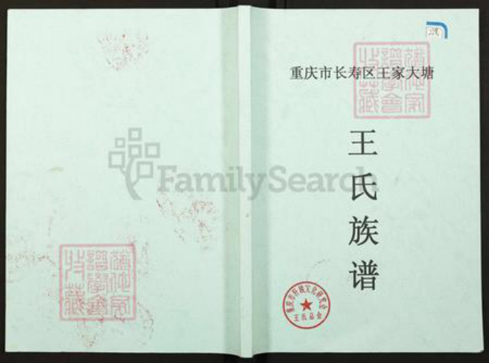 重庆市长寿区双龙镇王氏族谱-王氏族谱.pdf电子版