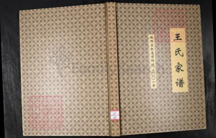 山东省青岛市城阳区王氏族谱-王氏家谱.城阳区红岛前阳村.pdf电子版