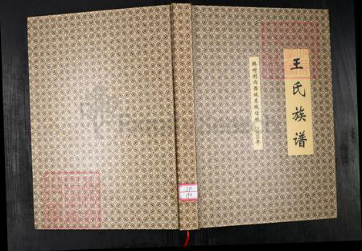 山东省青岛市王氏族谱-王氏族谱.韩村荆沟西城东城信村.pdf电子版插图 山东省青岛市王氏族谱-王氏族谱.韩村荆沟西城东城信村.pdf电子版插图