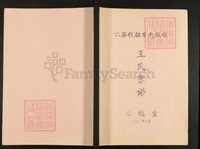 江苏省扬州市仪征市大仪镇王氏三槐堂族谱-王氏家谱.pdf电子版