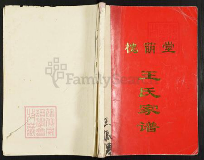 江苏省扬州市高邮市界首镇王氏槐荫堂族谱-王氏家谱.pdf电子版插图 江苏省扬州市高邮市界首镇王氏槐荫堂族谱-王氏家谱.pdf电子版插图