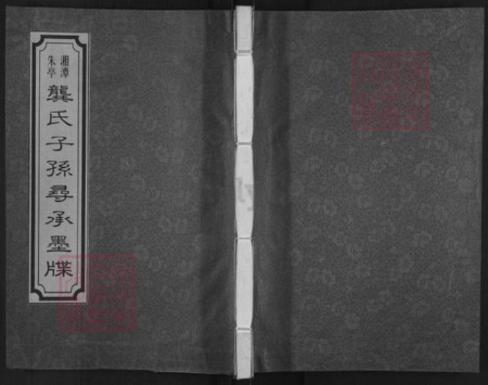 湖南省株洲市渌口区朱亭镇龚氏光辉堂族谱-湘潭朱亭龚氏子孙寻承墨牒.pdf电子版