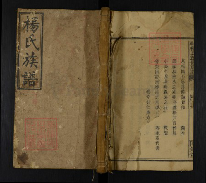 湖南省邵阳市邵东杨氏四知堂族谱-邵东杨氏续修族谱.pdf电子版插图 湖南省邵阳市邵东杨氏四知堂族谱-邵东杨氏续修族谱.pdf电子版插图