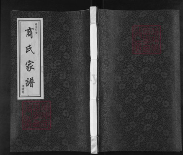 山东省聊城市茌平区菜屯镇山东省聊城市茌平区商氏族谱-商氏家谱.希全分支.pdf电子版