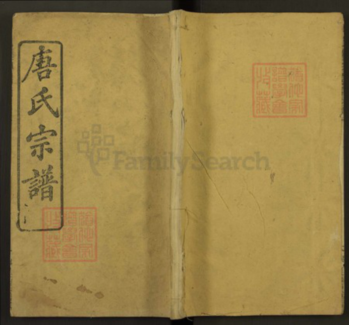 安徽省宣城市唐氏族谱-唐氏宗谱.pdf电子版插图 安徽省宣城市唐氏族谱-唐氏宗谱.pdf电子版插图