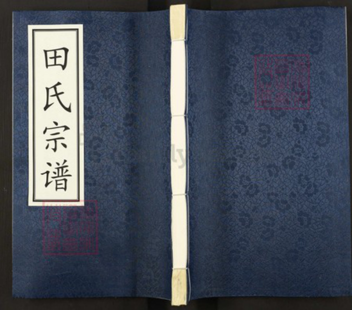 青海省西宁市青海省西宁市田氏守正堂族谱-田氏宗谱.pdf电子版插图 青海省西宁市青海省西宁市田氏守正堂族谱-田氏宗谱.pdf电子版插图
