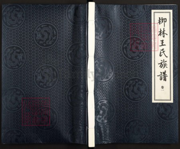 山东省潍坊市诸城市皇华镇王氏益友堂族谱-诸城柳林王氏族谱.pdf电子版