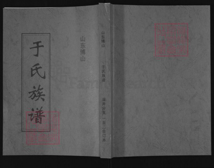 山东省淄博市博山区山东省淄博市博山区于氏族谱-于氏族谱.pdf电子版