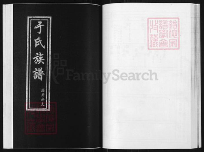 山东省淄博市博山区山东省淄博市博山区于氏族谱-于氏族谱.淄井分支.pdf电子版